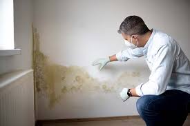 Asbestos and Lead Testing During Mold Inspection in Rutledge, GA